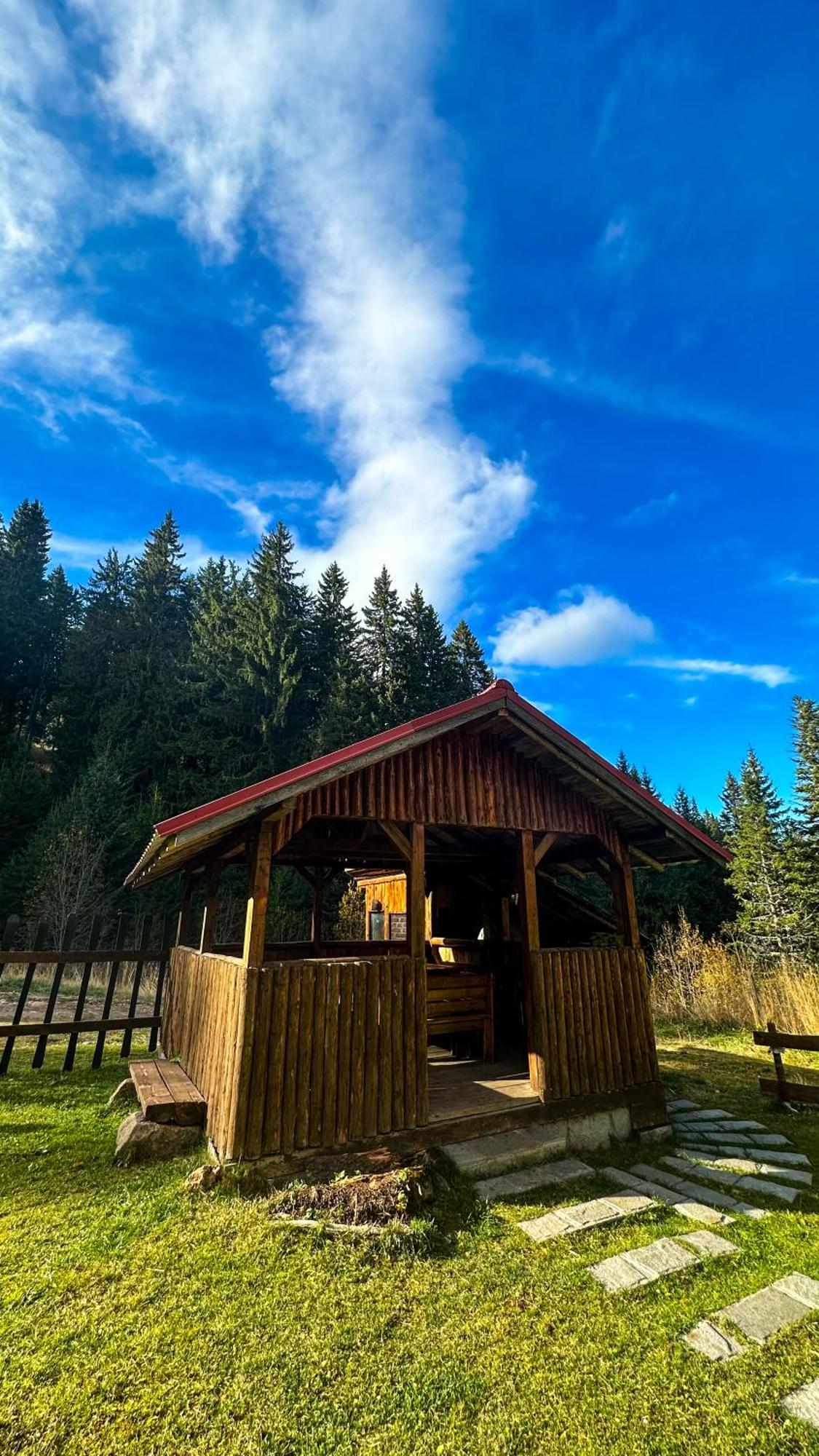 Castle Romance - Pamporovo Exterior foto